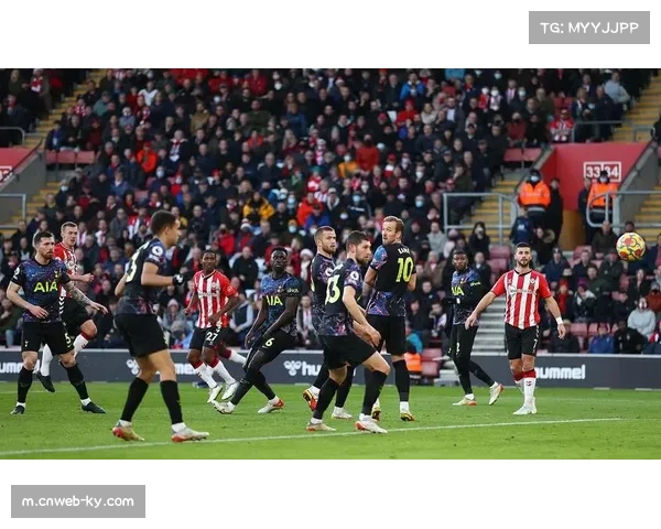 富勒姆补时绝杀布莱顿 哈里威尔逊任意球助球队逆转